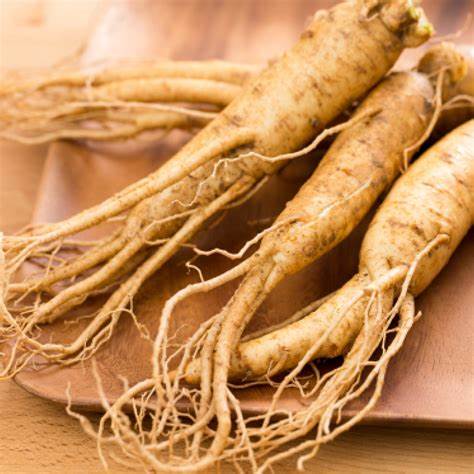 Café et GINSENG BIO pour Systéme NIPPLE